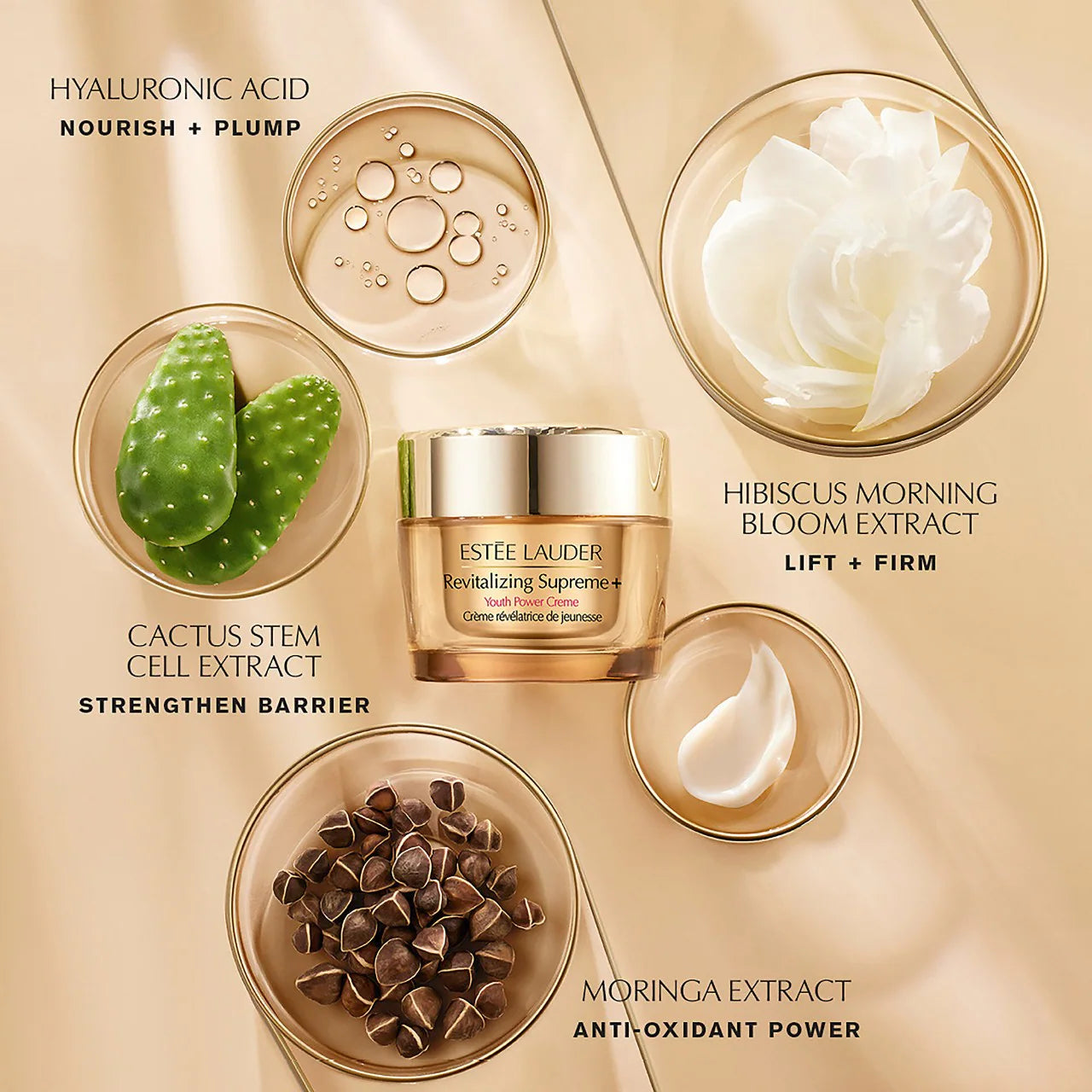 Estee lauder skin Revitalizing Supreme+ Youth Power Creme